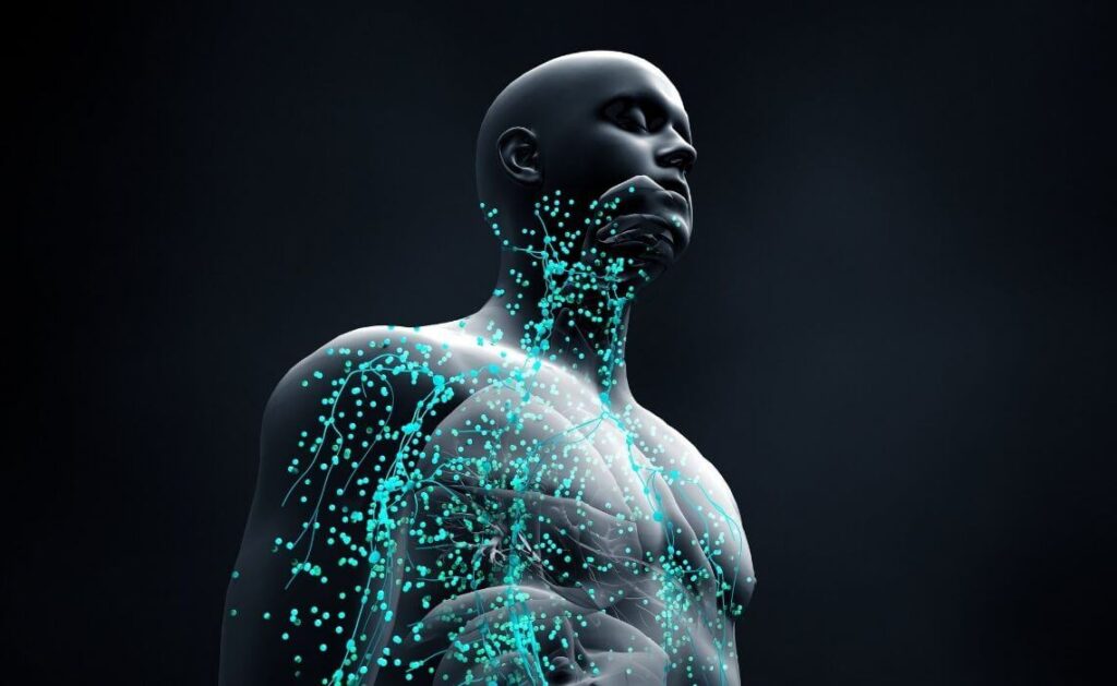 A.I. Aging Clock Predicts Disease Onset and Immune System Health