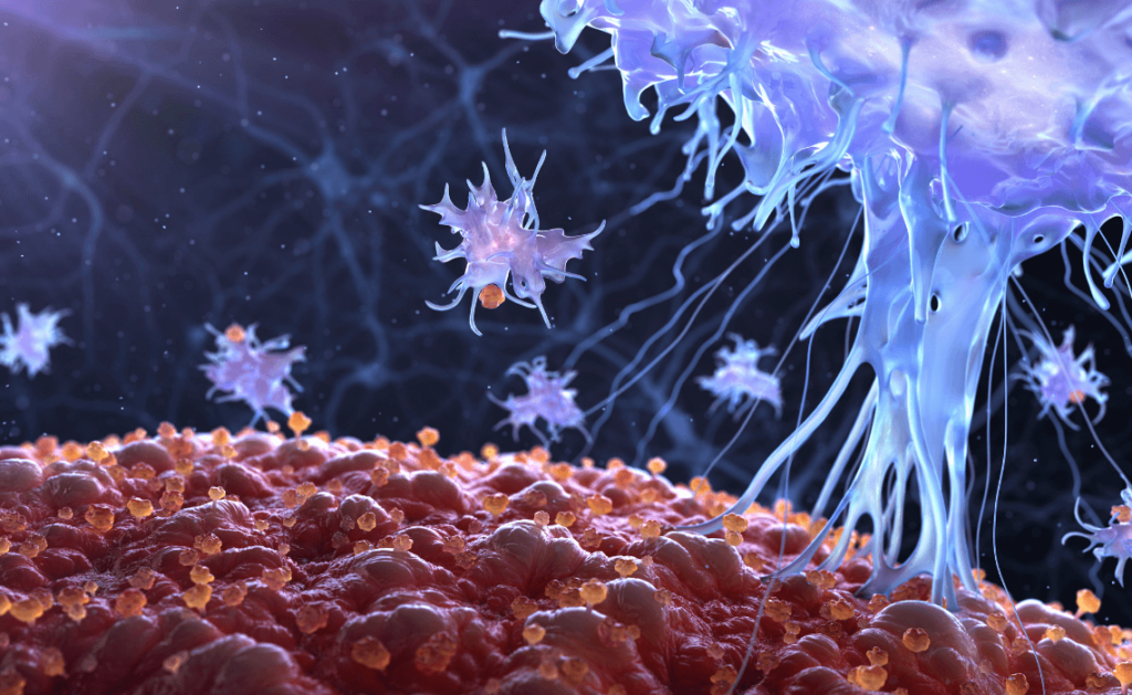 After COVID-19, how are our immune systems holding up?