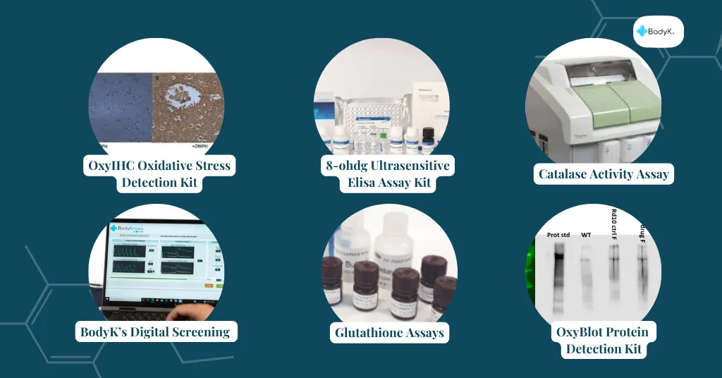Types of Oxidative Stress Test Kits