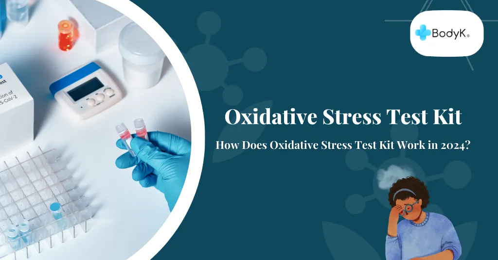 How Does Oxidative Stress Test Kit Work in 2024?
