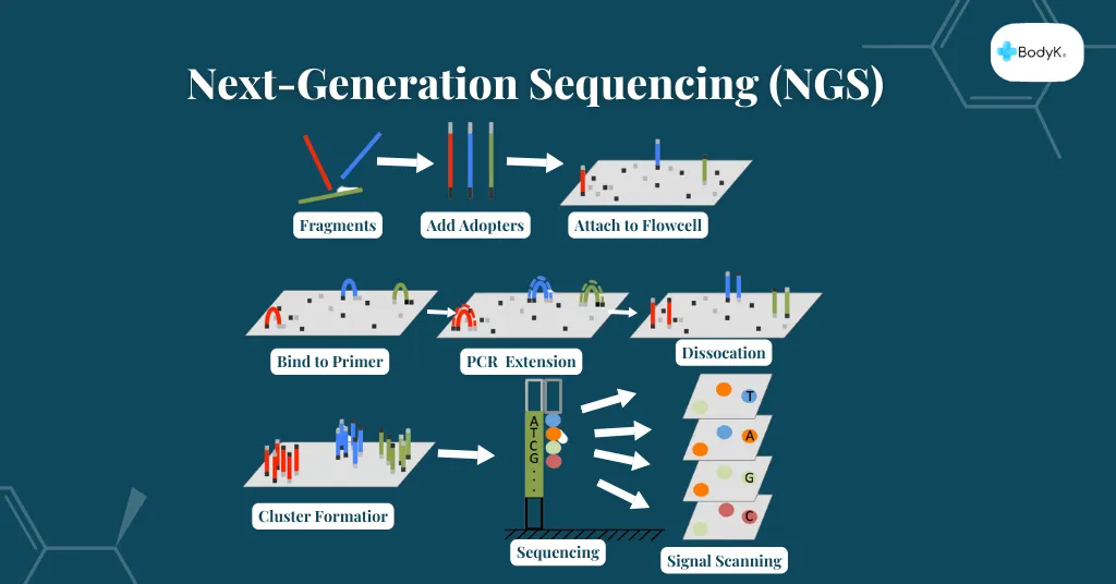 Next-Generation Sequencing (NGS)
